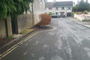 30 примеров очень ленивых работников и результаты их труда