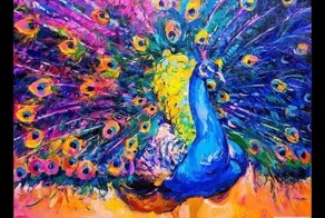 Очень красивый и грациозные павлины