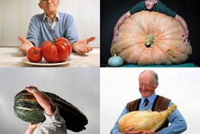 Гигантские овощи (20 фото)