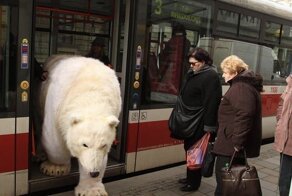 30 нелепых фото, которые вызывают много вопросов и кучу догадок