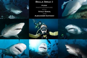 Красота подводного мира (50 фото)