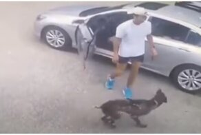 Парень пожалел, что обманул свою собаку