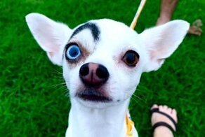 15 изображений, которые показывают, насколько необычной может быть природа