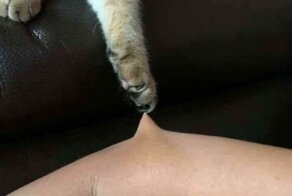 Фотографии, которые доставят вам только страдания