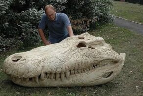 17 фотографий, которые заставят вас почувствовать себя крошечным муравьём 