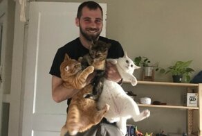 17 мужчин, которые нежно любят котеек, но предпочитают скрывать это