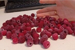 Удивительные работы обладателей необычных хобби