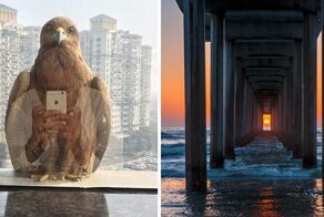 30 фото, сделанных точно в нужный момент