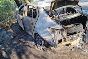 В Астрахани водитель Renault Logan врезался в дерево: автомобиль полностью сгорел