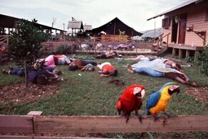 Редкие фотографии массового самоубийства в Джонстауне под предводительством культового лидера Джима Джонса