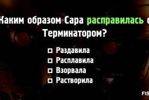 Тест по фильму "Терминатор"