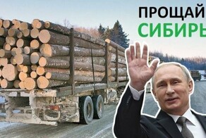 Либеральные сказки про русский лес