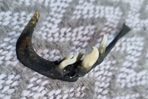 Странная находка