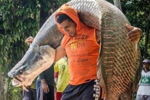 15 фотографий, доказывающих, что всё познаётся в сравнении