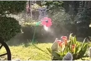 Садовым разбрызгивателям тоже нужен отдых