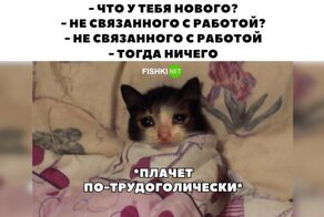 Нет зрелища печальнее на свете, чем трудоголик без работы