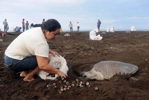 Браконьеры Коста-Рики (12 фото)