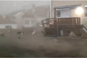 Собака против торнадо в Чехии