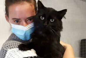 20+ трогательных фото животных, которым подарили новую жизнь