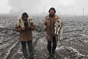 Объявлены лучшие фото по версии iPhone Photography Awards