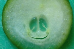 30+ случаев, когда люди смотрели на мир - а он посмотрел на них в ответ