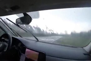 Китайцы, напуганные наводнениями дома, приехали в Беларусь и попали в переделку