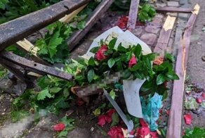 Печальная судьба: рухнувшее дерево упало на влюбленную пару