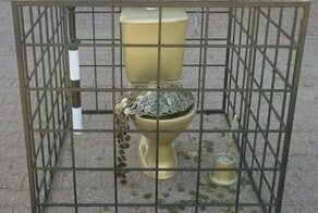 Аквивисты подарили ставропольскому ГИБДД золотой унитаз в клетке