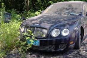 Aston Martin, Corvette, Porsche, Audi в зарослях: кладбище роскошных автомобилей в Китае