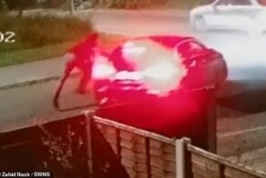 Британец попытался угнать авто с тремя детьми на заднем сиденье
