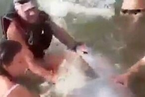 Незабываемая встреча:  в Приморье белуха приплыла к берегу и поиграла с людьми