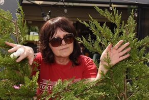 Эйс Вентура вернулся: учительница бросила работу, чтобы заниматься розыском домашних животных