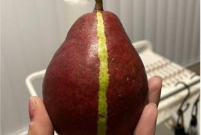 19 неожиданных примеров совершенства