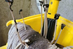 33 любопытных и редких находки, которыми люди поделились в сети