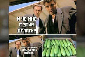 А вот и август настал: чувак, у тебя есть кабачок?
