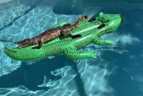 30 фотографий, которые помогут развеять скуку