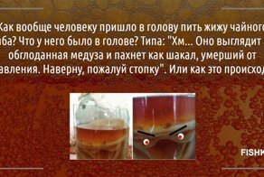 Так много вопросов... И так мало ответов!