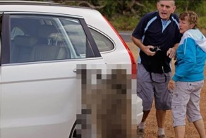 Ограбление средь бела дня (5 фото)