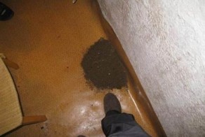 Чтобы это могло быть? (7 фото)