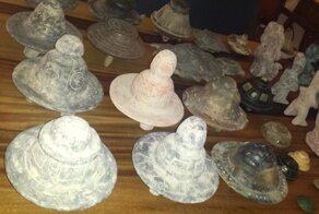 Мексиканские фермеры показали, что находят на своих территориях