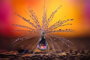 Наш мир прекрасен: 30 лучших фото с конкурса CEWE Photo Award