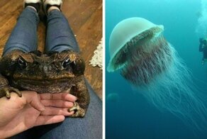 Как же огромны некоторые вещи по сравнению с человеком