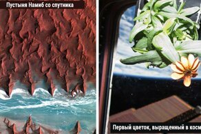35 интересных и забавных фото, которые скрасят ваш день