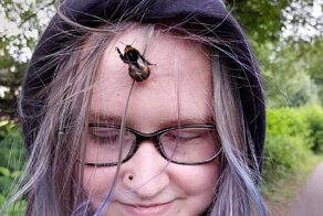 Девочка спасла шмеля и приручила его