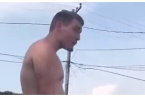 Слон и моська в мире людей