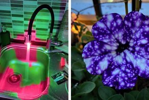 25 классных фото, на которые интересно взглянуть