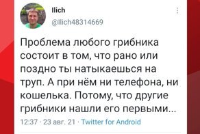 Вот и первые грибочки пошли... Псилоцибиновый юмор о начале сезона