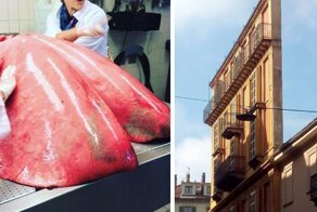 Не каждый день такое увидишь: 27 фото, которые вас удивят