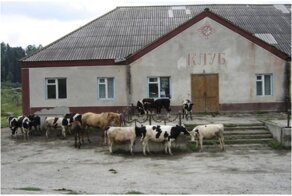 20 доказательств  того, что в провинциальной жизни есть некая изюминка