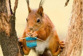 Фотограф-анималист и мастер фотошопа вместе - страшная сила!